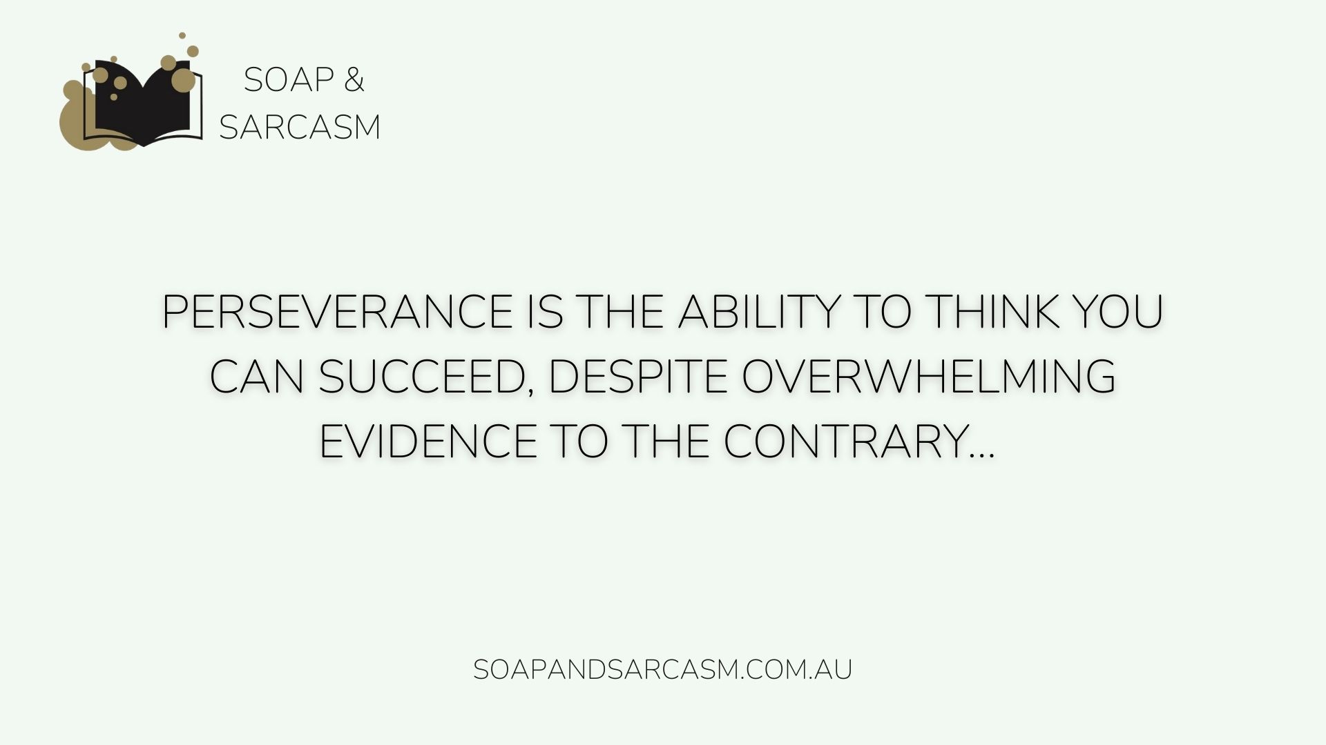 Funny Sarcastic motivational saying "Perseverance is the ability to think you can succeed despite overwhelming evidence to the contrary…"